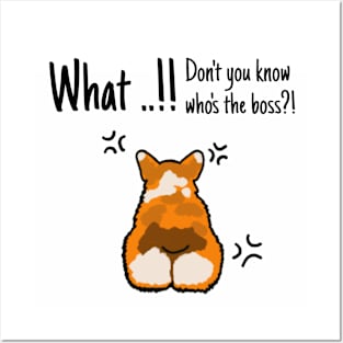 Dog Welsh Corgi What ...!! Don't you know who's the boss?! Posters and Art